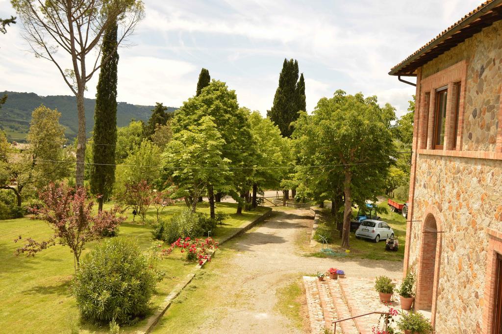 Agriturismo Riparossa Allerona Exterior photo