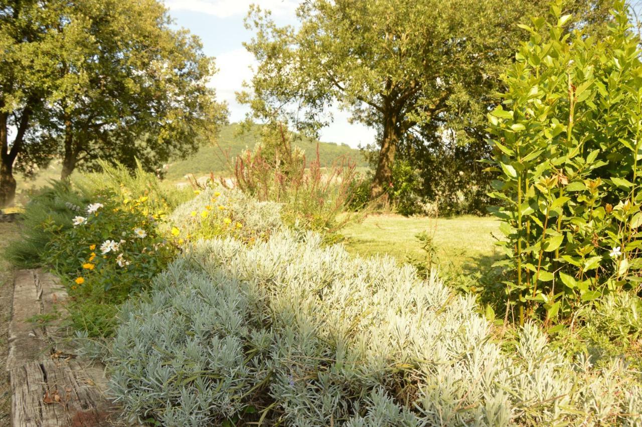 Agriturismo Riparossa Allerona Exterior photo